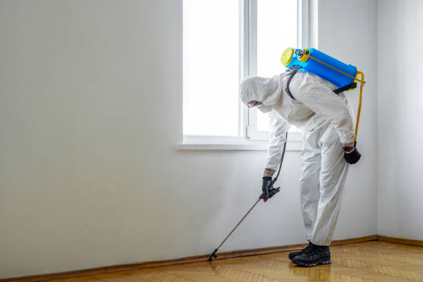 Best Pest Removal Services  in Country Club Hills, MO