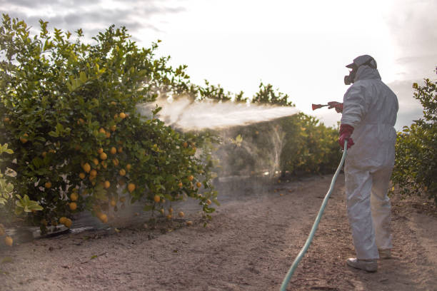Best Best Pest Control Companies  in Country Club Hills, MO