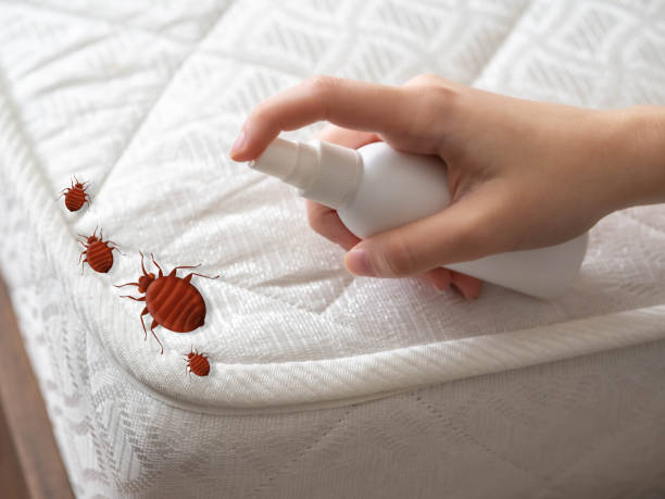 Best Residential Pest Control  in Country Club Hills, MO
