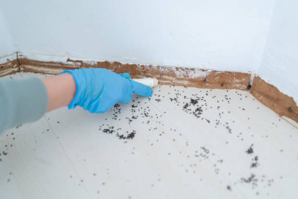 Best Commercial Pest Control Services  in Country Club Hills, MO