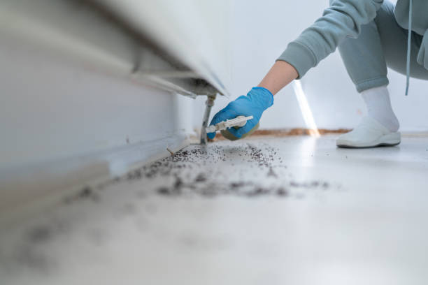 Best Pest Inspection Near Me  in Country Club Hills, MO
